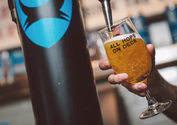 Chope Brewdog Punk IPA